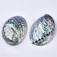 Natural Abalone Shell/Paua Shell Display Decoration, Home Decoration, Shell, Colorful, 124~125x89~91x37~43mm, Hole: 2.5~5mm(SSHEL-N0334-01)