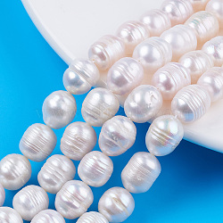 Natural Cultured Freshwater Pearl Beads Strands, Rice, Seashell Color, 10~12x9~10mm, Hole: 0.7mm, about 32~33pcs/strand, 13.39 inch(34cm)(PEAR-N012-09B)