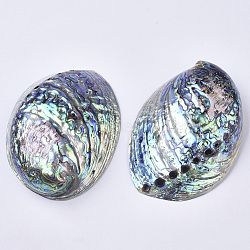 Natural Abalone Shell/Paua Shell Display Decoration, Home Decoration, Shell, Colorful, 124~125x89~91x37~43mm, Hole: 2.5~5mm(SSHEL-N0334-01)