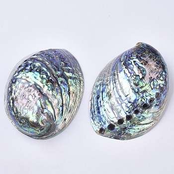 Natural Abalone Shell/Paua Shell Display Decoration, Home Decoration, Shell, Colorful, 124~125x89~91x37~43mm, Hole: 2.5~5mm
