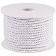 Nylon Threads(NWIR-PH0001-06B)-1