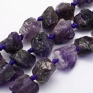 Natural Amethyst Beads Strands, Nuggets, 17~30.5x11~26x11~26mm, Hole: 2mm, about 16~19pcs/strand, 15.7 inch(40cm)(G-G697-E06)