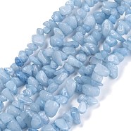 Dyed Natural Aquamarine Beads Strands, Chip, 3~16x3~8mm, Hole: 0.7mm, 32.28''(82cm)(G-F703-12)