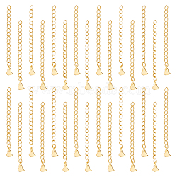 Unicraftale 30Pcs 304 Stainless Steel Curb Chain Extender, End Chain, with Charms, Heart, Golden, 58mm(STAS-UN0052-21)