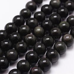 Natural Obsidian Beads Strands, Grade AAA, Round, Black, 14mm, Hole: 1mm, about 28pcs/strand, 15.7 inch(G-D838-14mm-04)