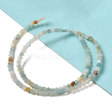 Natural Flower Amazonite Beads Strands(G-G085-B09-01)-2