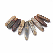 Natural Picasso Stone/Picasso Jasper Beads Strands, Graduated Fan Pendants, Focal Beads, 19~50x7~8.5x6~8mm, Hole: 1.5mm, 9pcs/set, 2.75 inch/strand(G-S325-004)