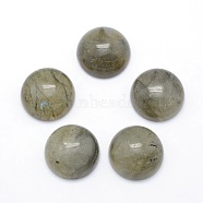 Natural Labradorite Cabochons, Half Round, 14~14.5x6mm(G-P393-R47-14.5mm)