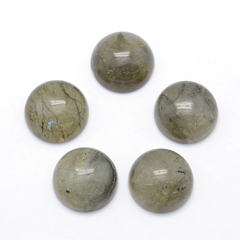 Natural Labradorite Cabochons, Half Round, 14~14.5x6mm