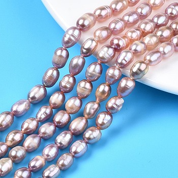 Natural Cultured Freshwater Pearl Beads Strands, Rice, Plum, 7.5~11x6~7.5mm, Hole: 0.8mm, about 37~43pcs/strand, 14.06 inch~14.29 inch(35.7cm~43cm)