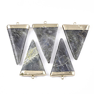 Electroplate Natural Labradorite Big Pendants, with Iron Findings, Triangle, Golden, 57~61x32~36x6~8mm, Hole: 3.5mm(G-S344-46C)
