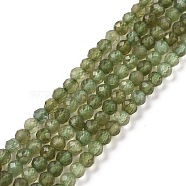 Natural Green Apatite Beads Strands, Faceted, Grade AB, Round, 3.5mm, Hole: 0.7mm, about 120pcs/strand, 15.16 inch(38.5cm)(G-I348-01)