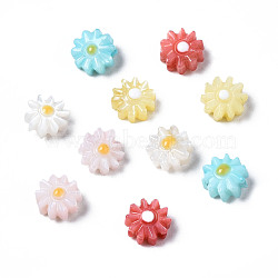 Natural Freshwater Shell Beads, with Enamel, Flower, Mixed Color, 6x3mm, Hole: 0.9mm(SHEL-N003-20A)