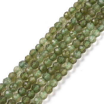 Natural Green Apatite Beads Strands, Faceted, Grade AB, Round, 3.5mm, Hole: 0.7mm, about 120pcs/strand, 15.16 inch(38.5cm)