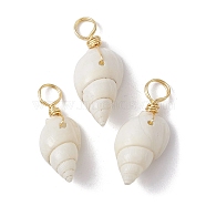 Spiral Shell Pendants, with Real 18K Gold Plated Copper Wire Loops, Shell Charms, White, 22~25x8~10x7~9mm, Hole: 3.8~4mm(PALLOY-JF02492-01)