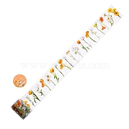 Flower PET Adhesive Tape, for DIY Album Scrapbook, Greeting Card, Background Paper, Light Salmon, 50mm, 2m/roll(DIY-P084-B04)