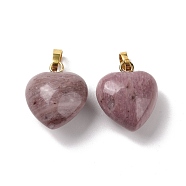 Natural Rhodonite Pendants, with Golden Tone Brass Findings, Heart Charm, 18x15~15.5x6~8mm, Hole: 6x3mm(G-I311-A02-G)