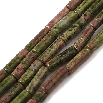 Natural Unakite Beads Strands, Column, 13~14x4~4.5mm, Hole: 1.2mm, about 14pcs/strand, 7.48''(19cm)