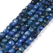 Natural Kyanite/Cyanite/Disthene Beads Strands, Faceted, Cube, 4.5x4.5x4.5mm, Hole: 0.8mm, about 83pcs/strand, 15.16 inch(38.5cm)(G-C009-B03)