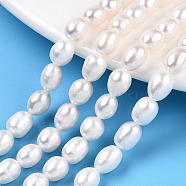 Natural Cultured Freshwater Pearl Beads Strands, Rice, Seashell Color, 7~8.5x6~6.6mm, Hole: 0.7~0.8mm, about 23pcs/strand, 7.09 inch(18cm)(PEAR-N012-06M)