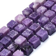 Natural Lepidolite/Purple Mica Stone Beads Strands, Cube, 10~11x10~11x10~11mm, Hole: 1mm, about 30pcs/strand, 17.13''(43.5cm)(G-K245-F01-01)