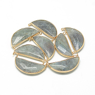 Natural Labradorite Pendants, with Brass Findings, Faceted, Pea, Golden, Light Grey, 36x20x6~7mm, Hole: 2mm(G-Q971-10)