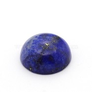 Dyed Natural Dome/Half Round Lapis Lazuli Cabochons, 12x5mm(G-A136-C03-12mm)