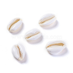 Cowrie Shell Beads, with Enamel, Undrilled/No Hole Beads, White, 18~22x13~15x7~8mm(BSHE-G019-02F)
