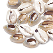 Cowrie Shell Beads, Seashell Color, 12~17x7~11x5~6mm, about 1100pcs/500g(SSHEL-T004-03)
