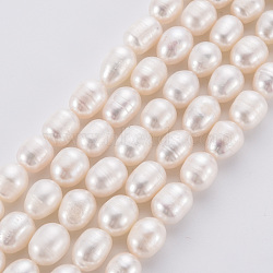 Natural Cultured Freshwater Pearl Beads Strands, Potato, Antique White, 9~11x7~8x7~8mm, Hole: 0.6mm, about 19~20pcs/strand, 7.28 inch~7.67 inch(18.5~19.5cm)(X-PEAR-N011-001)