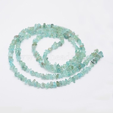 Chips Natural Apatite Beads Strands(G-N0164-44)-3