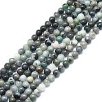 Natural Emerald Beads Strands, Round, 6mm, Hole: 0.8mm, about 63pcs/strand, 15.35 inch(39cm)(G-F715-104A)