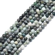 Natural Emerald Quartz Beads Strands, Round, 6mm, Hole: 0.8mm, about 63pcs/strand, 15.35 inch(39cm)(G-F715-104A)