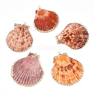 Electroplate Multicolor Sea Shell Pendants, with Iron Findings, Light Gold, Sienna, 33~54x28~48x7~11mm, Hole: 2mm(SSHEL-S262-31)