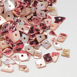 Dyed Natural Freshwater Shell Chips Beads, Pink, 11~16x4~8x2~5mm, Hole: 1mm, about 700pcs/500g(SHEL-A003-A02)
