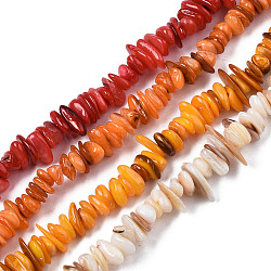 Natural Freshwater Shell Beads Strands, Chips, Mixed Color, 0.4~4x6.5~20x4.5~8.5mm, Hole: 0.7~0.8mm, about 301~340pcs/strand, 30.94 inch~32.36 inch(78.6cm~82.2cm)(SHEL-S278-071)