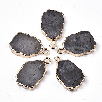 Natural Labradorite Pendants, with Light Gold Plated Edge and Iron Loop, Nuggets, 19~21x12x3mm, Hole: 1.6mm