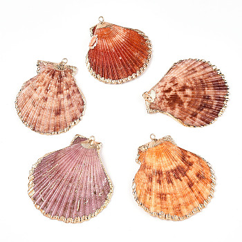 Electroplate Multicolor Sea Shell Pendants, with Iron Findings, Light Gold, Sienna, 33~54x28~48x7~11mm, Hole: 2mm