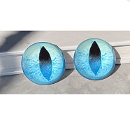 Glass Cat Eye Decorative Eye Piece, Half Round, Sky Blue, 30x15mm(DIY-WH0110-26F)