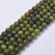 Natural Taiwan Jade Beads, Round, Olive, about 8mm in diameter, hole: 1mm, about 50pcs/strand, 16 inch(X-Z0NCT013)