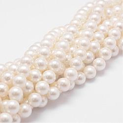 Rainbow Plated Shell Pearl Bead Strands, Grade A, Round, Old Lace, 6mm, Hole: 1mm, about 62pcs/strand, 16 inch(BSHE-L025-02-6mm)