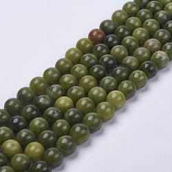 Natural Taiwan Jade Beads, Round, Olive, about 8mm in diameter, hole: 1mm, about 50pcs/strand, 16 inch(X-Z0NCT013)