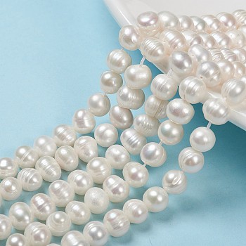 Natural Cultured Freshwater Pearl Beads Strands, Potato, Seashell Color, 6~7x7~8.5mm, Hole: 0.5mm, about 26pcs/strand, 7.09 inch(18cm)