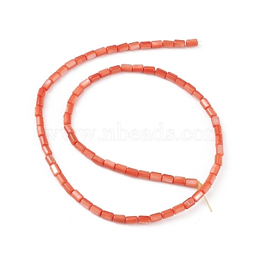 Natural Freshwater Shell Dyed Beads Strands(SHEL-M018-12-02)-2