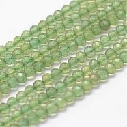 Natural Apatite Beads Strands, Faceted, Round, Grade A, 3mm, Hole: 0.5~0.6mm, about 144~151pcs/strand, 15.3~15.7 inch(39~40cm)(G-F460-58)