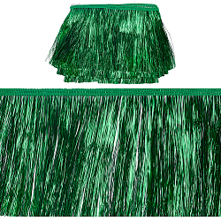 Polyester Fringe Trimmings, Tassel Trims, Ornament Accessories, Dark Green, 150x1mm, 10m/card(OCOR-WH0086-09D)