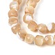 Natural Trochid Shell/Trochus Shell Beads Strands(BSHE-T014-53)-3
