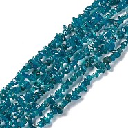 Natural Apatite Beads Strands, Chip, 5~7x2~4mm, Hole: 0.5mm, 15.75~16.14 inch(40~41cm)(G-G960-01)