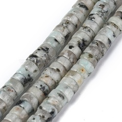 Natural Sesame Jasper/Kiwi Jasper Beads Strands, Heishi Beads, Flat Round/Disc, 6x3mm, Hole: 1mm, about 119~131pcs/strand, 14.76~15.74 inch(37.5~40cm)(G-Z006-C22)