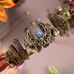 Natural Labradorite Hair Bands,  Crown Hair Bands, for Women Girls, 270x180x30mm(PW-WG39AD4-13)